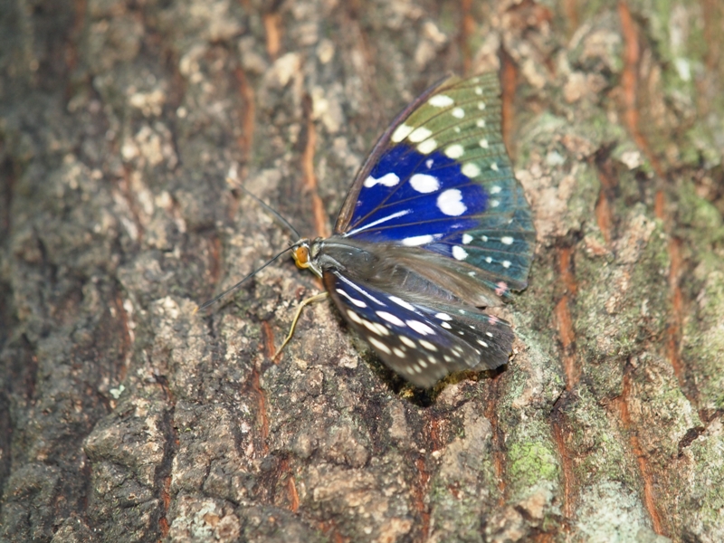 e0188939_15213290.jpg