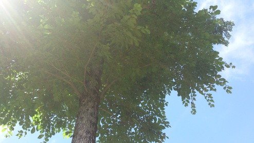 e0255945_2235885.jpg