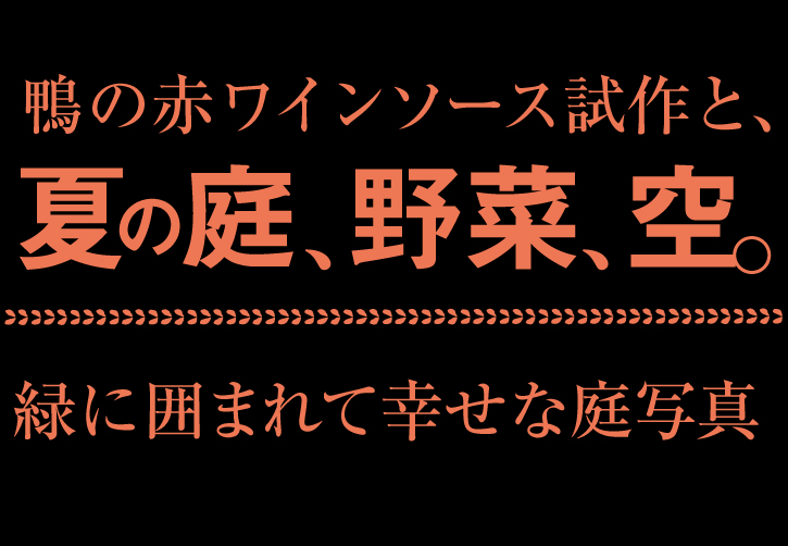 鴨肉赤ワインソース試作_e0333645_19363279.jpg