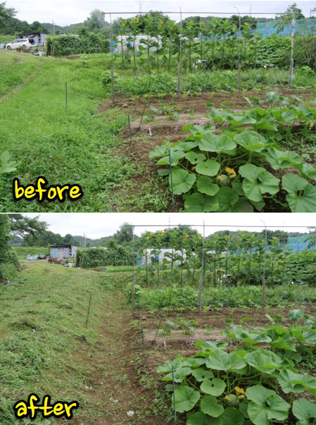 草刈り作業_c0063348_9402255.jpg