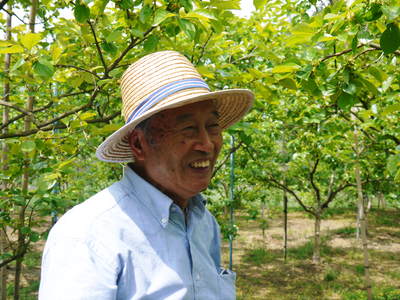 太秋柿 古川果樹園 こだわりと美味さの秘密!_a0254656_16415511.jpg