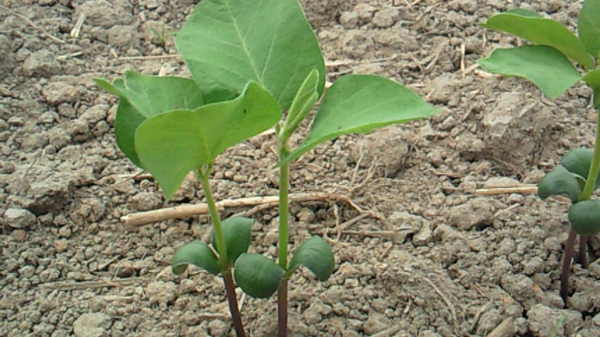 a0169558_2143338.jpg