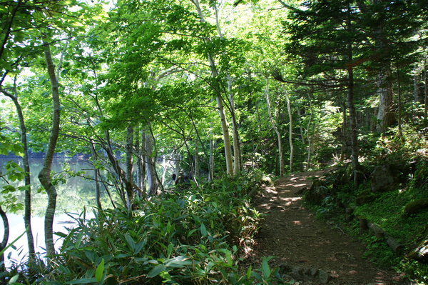 b0241761_912166.jpg