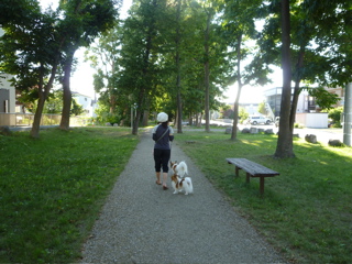 b0122262_22115868.jpg