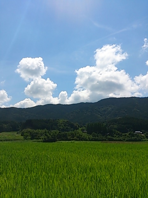 e0206464_2226220.jpg