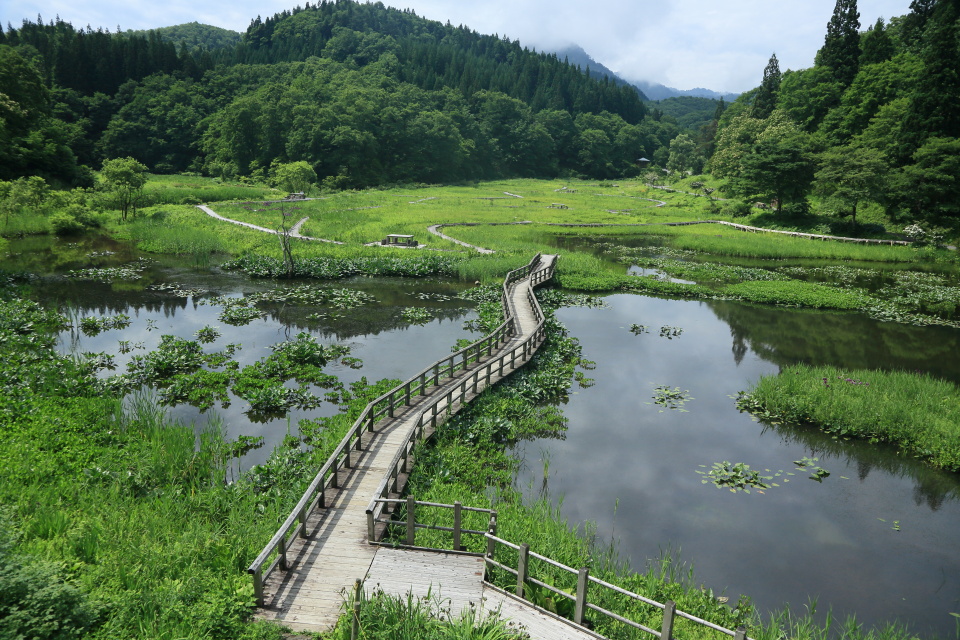 たきがしら湿原（１）_e0096372_5382127.jpg