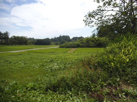 d0203676_21522022.jpg