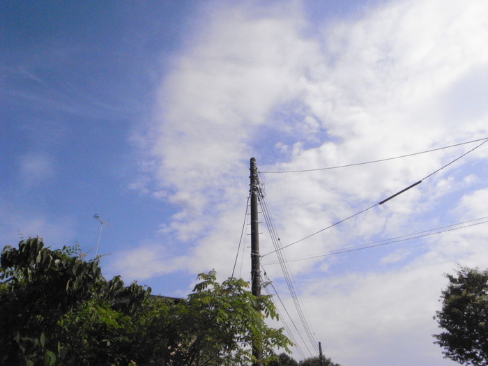 a0275477_23264537.jpg