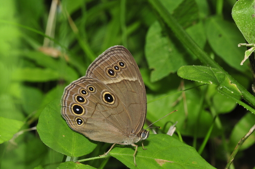 a0214490_17474353.jpg