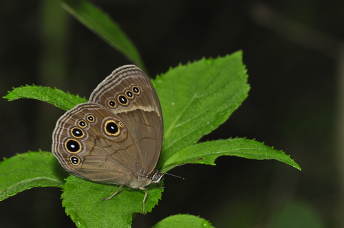 a0214490_17534213.jpg