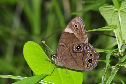 a0214490_182439.jpg