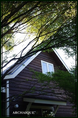 c0207890_16593866.jpg
