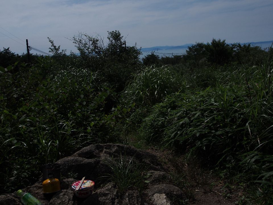 2013/07/20(土)　7月なのに秋のような六甲最高峰→有馬温泉へ　快晴　単独_c0134193_1042360.jpg