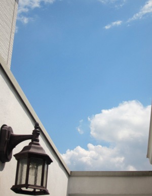 もも_d0249193_21203140.jpg