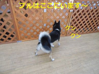 小さな幸せ_a0137294_1016057.jpg