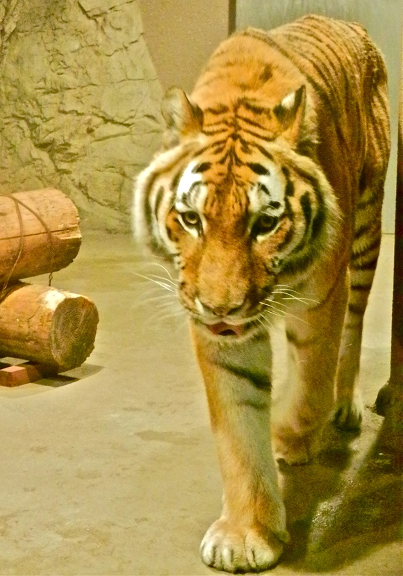 b0199097_8582134.jpg