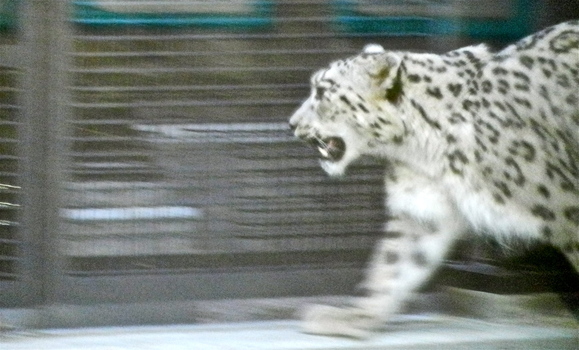 b0199097_858279.jpg