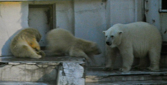 b0199097_859314.jpg