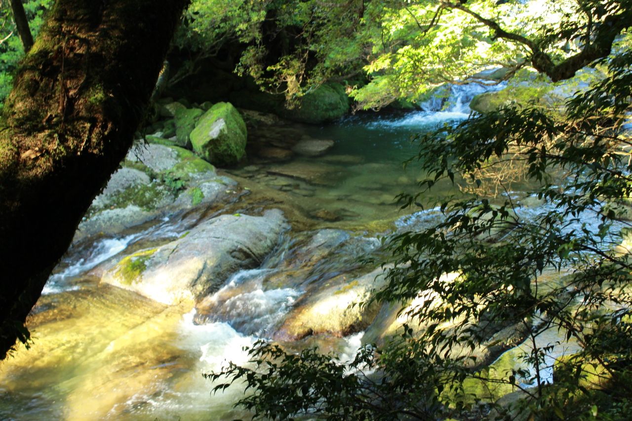 d0157497_21412066.jpg
