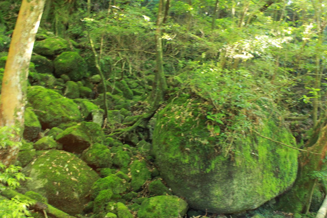 d0157497_2141322.jpg