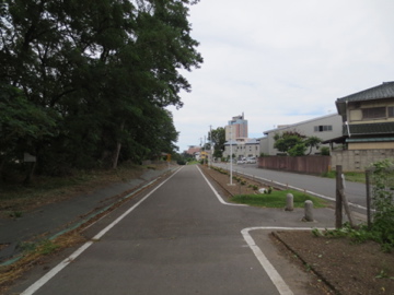 利根川自転車道と長野堰自転車道ポタ　1_a0117599_1044964.jpg