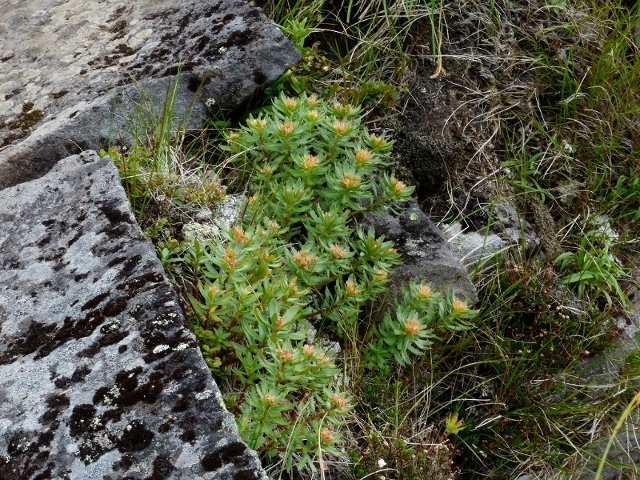 e0257101_22325557.jpg