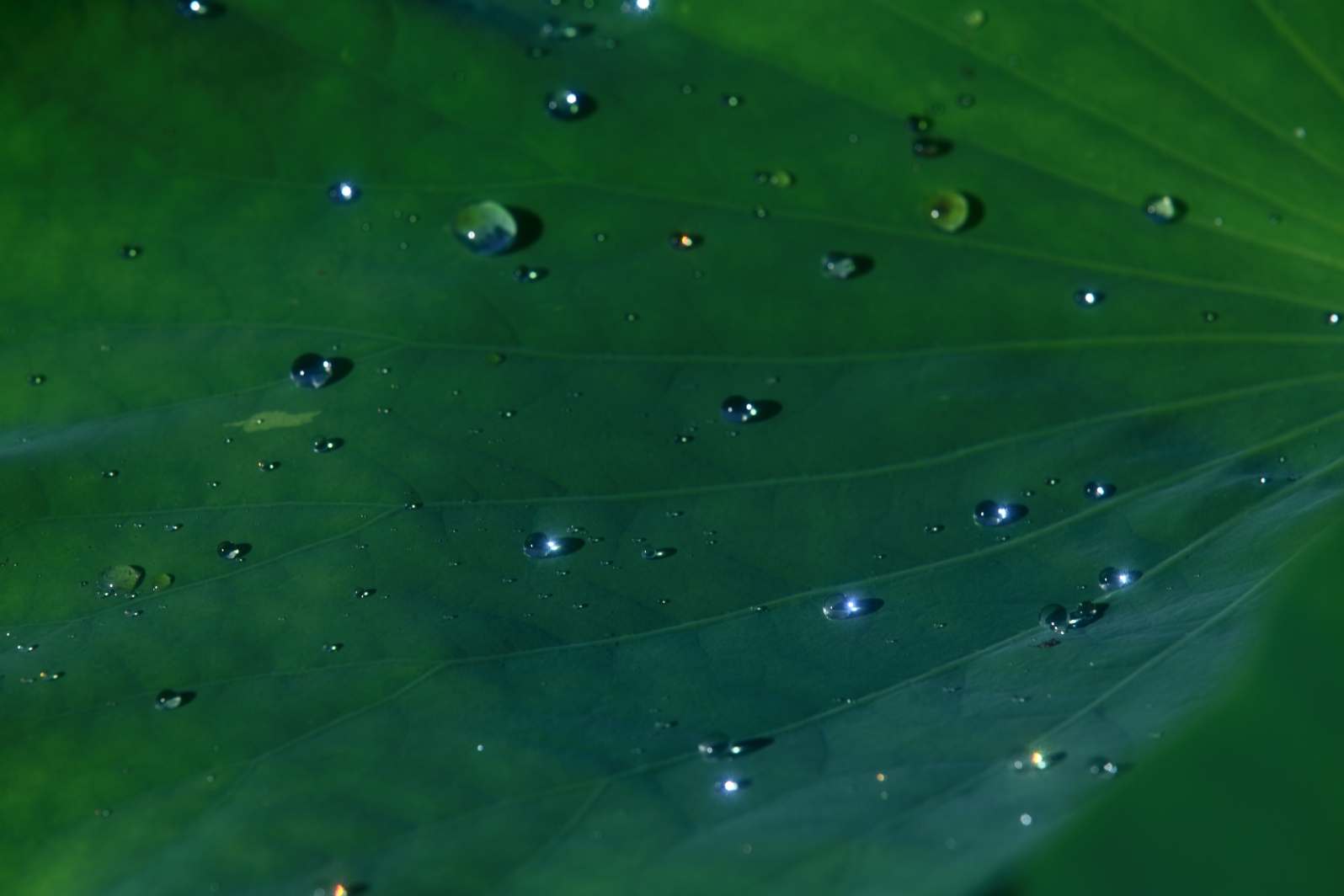 a0155104_0301286.jpg