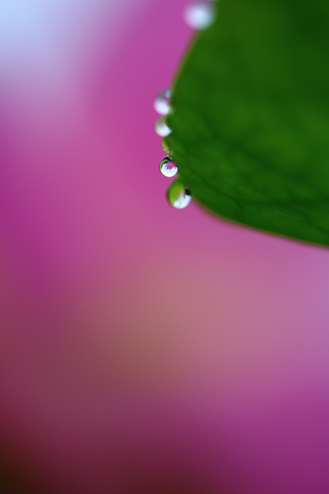 a0155104_030291.jpg
