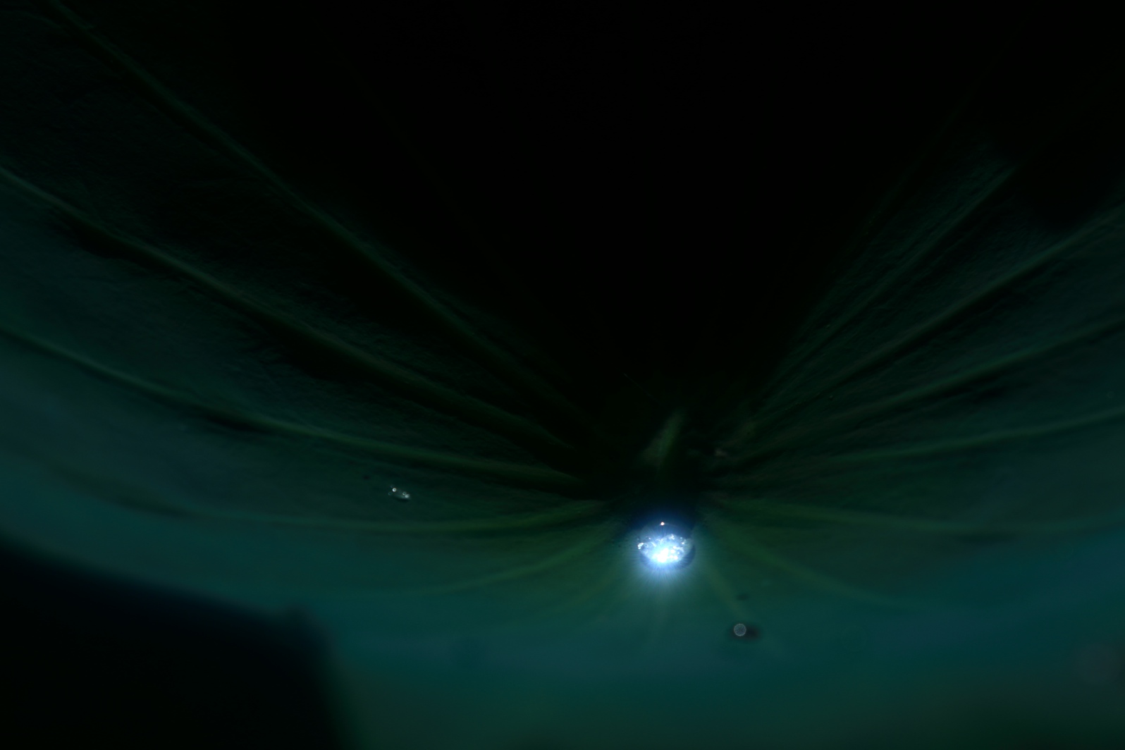a0155104_030454.jpg