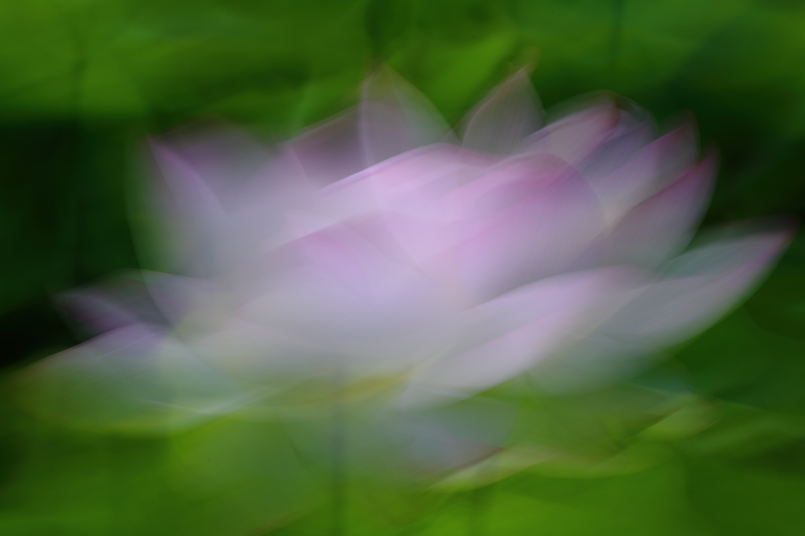 a0155104_22104266.jpg