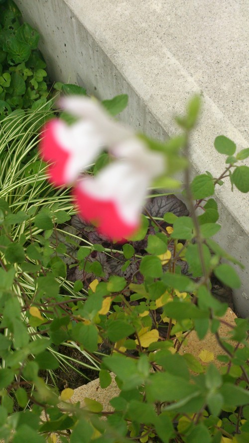 b0232804_8562640.jpg