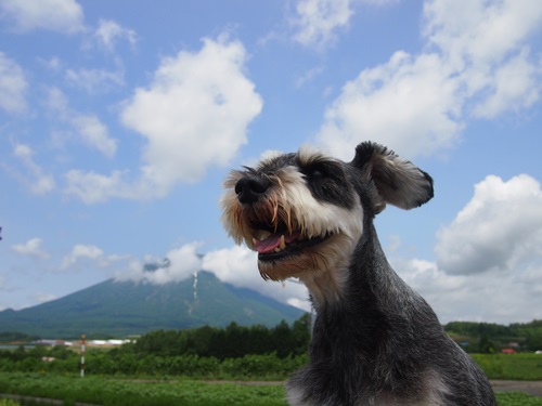 北海道 wtih わんこ4日目～洞爺湖～_f0254105_213527.jpg