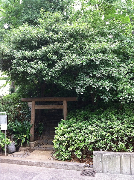西へ西へ _b0190710_21164797.jpg