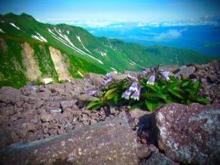 大雪山ウルトラトレイル2013　二日目　幸せな快晴トレイル_b0183911_237553.jpg