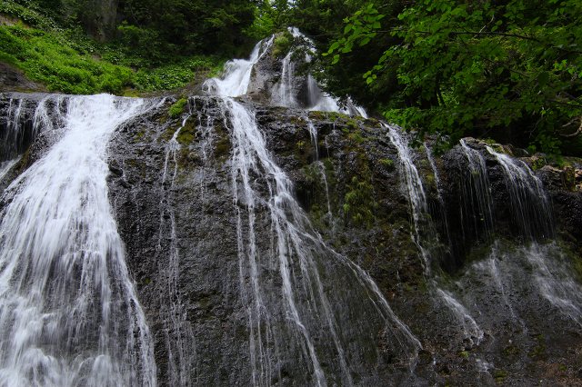 e0242721_8121792.jpg