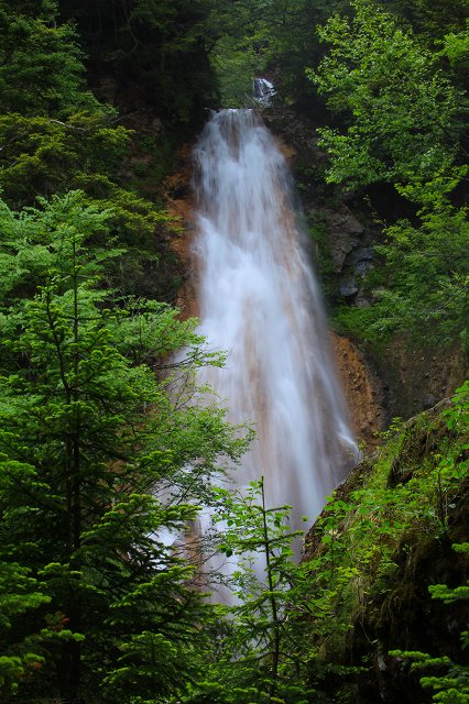 e0242721_8132750.jpg