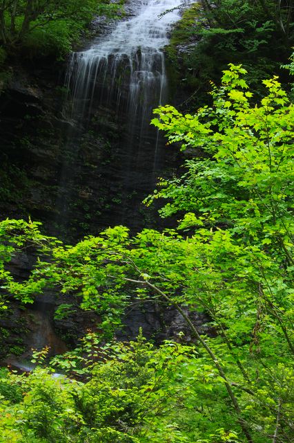 e0242721_8142264.jpg