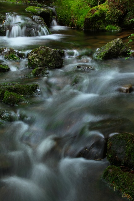 e0242721_8162790.jpg