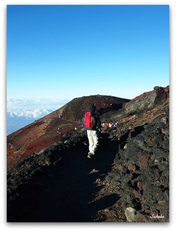 b0168823_166473.png