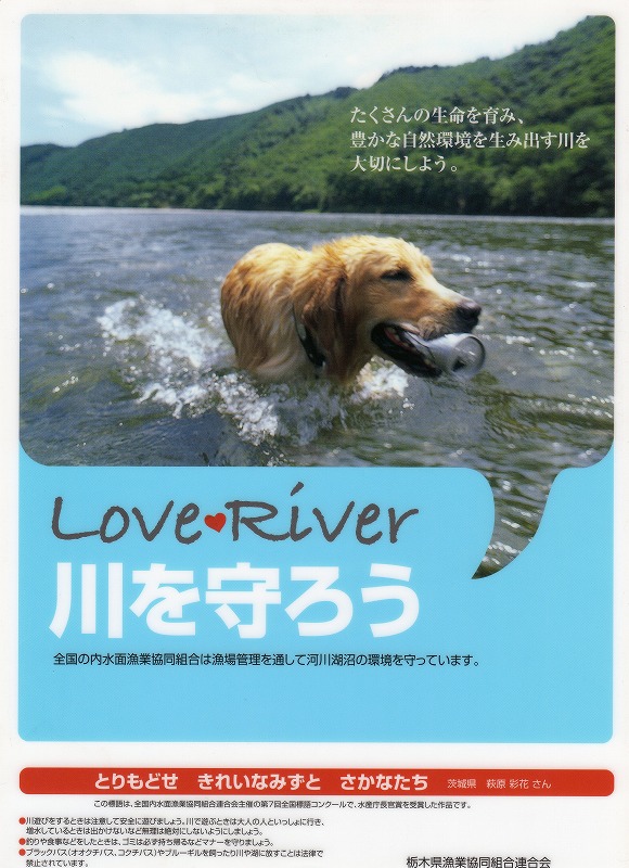 i-river＆3日後に．．．．_d0227723_2263410.jpg