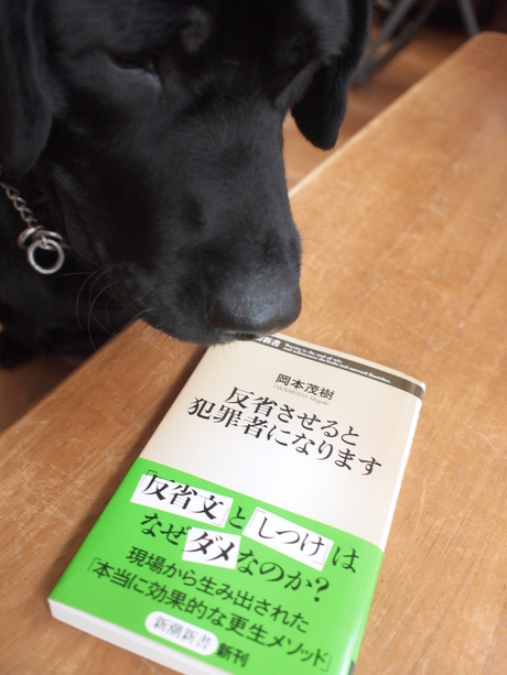 本当の意味の反省とは おおかみの休日 バランス良好なり