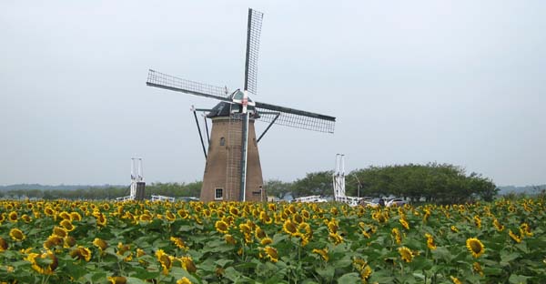 f0147025_17243334.jpg