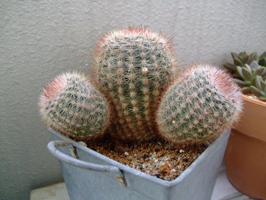 f0243726_842227.jpg