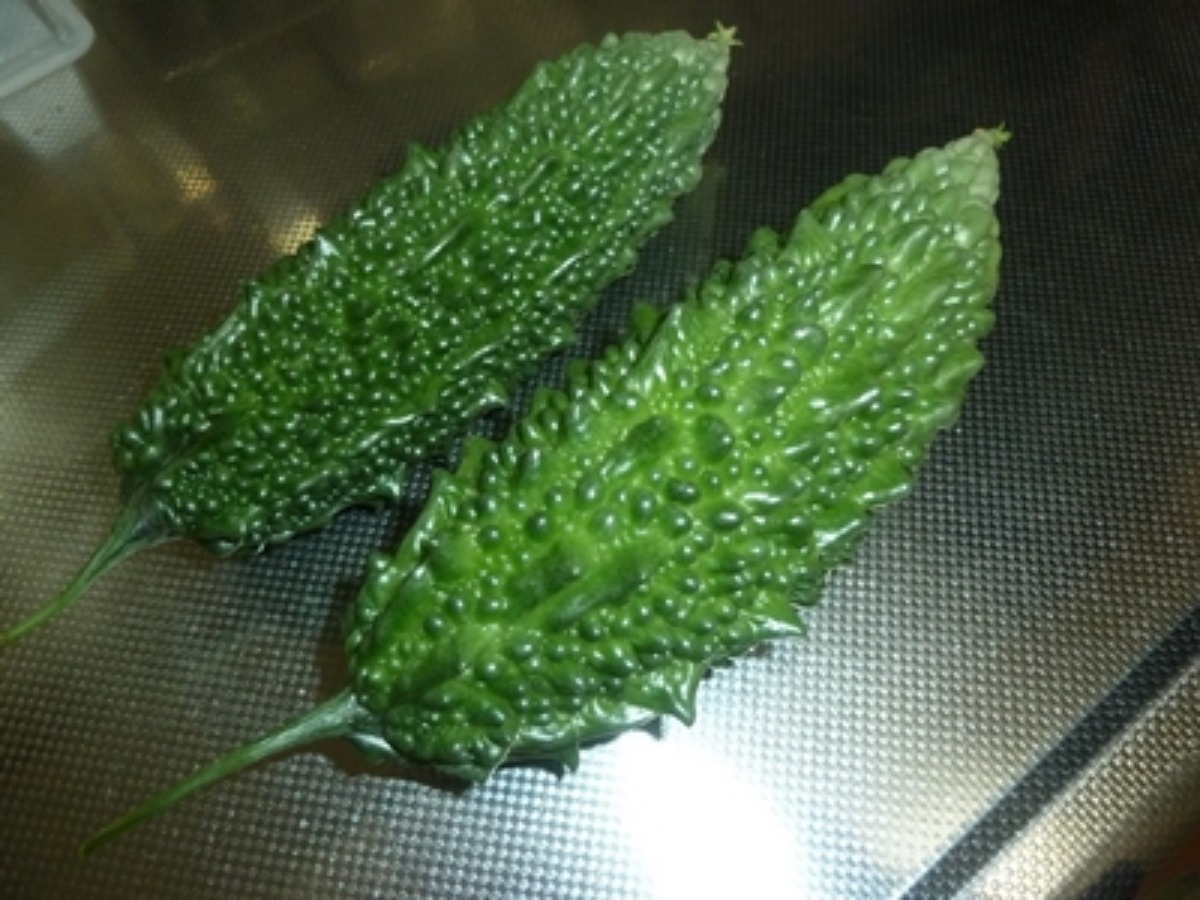 e0033229_2053154.jpg