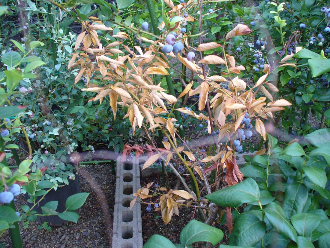 f0275632_2239773.jpg