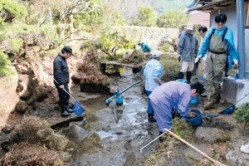 鉄魚生きていた　尾鷲市　県天然記念物 2012年11月28日_f0214235_89314.jpg