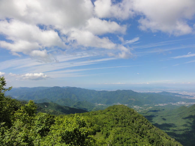 d0235336_2323153.jpg