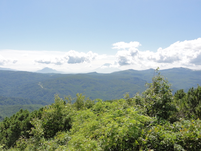 d0235336_23233677.jpg
