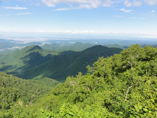 d0235336_2324402.jpg