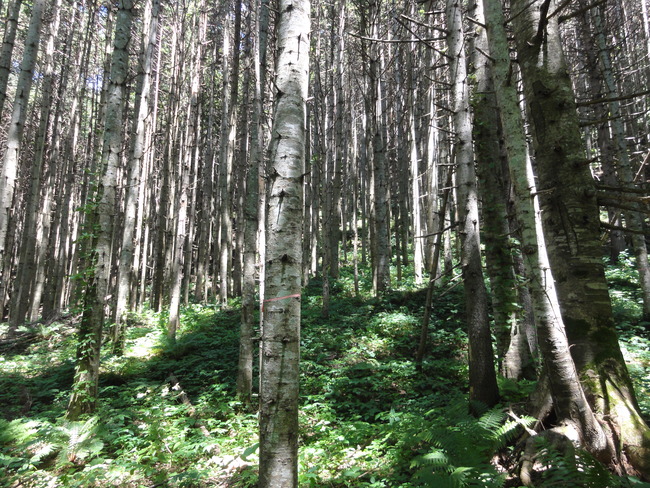 d0235336_23245728.jpg